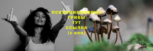 соль ск Алексеевка